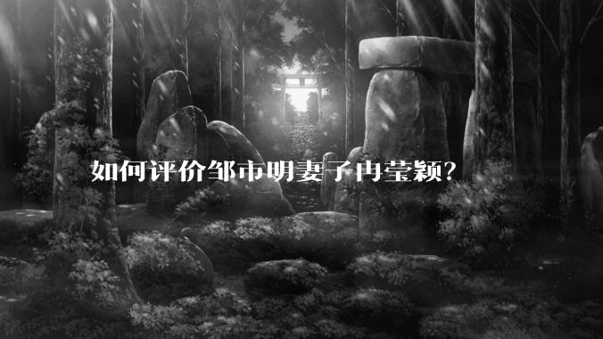 如何评价邹市明妻子冉莹颖？