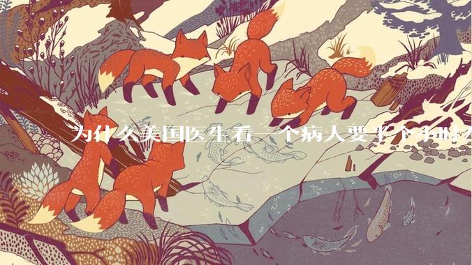 为什么美国医生看一个病人要半个小时左右，而中国医生五分钟就能看一个？