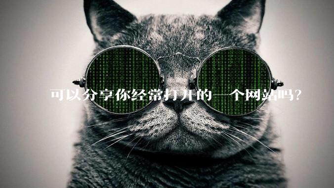 可以分享你经常打开的一个网站吗？