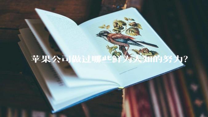 苹果公司做过哪些鲜为人知的努力？
