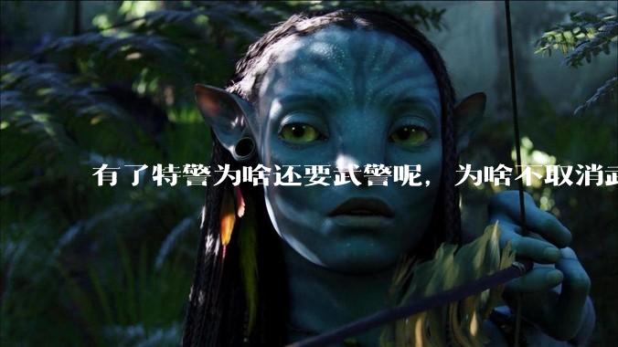 有了特警为啥还要武警呢，为啥不取消武警?