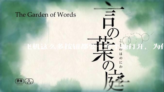 飞机这么多按钮都要一个个地打开，为什么不能一键启动？