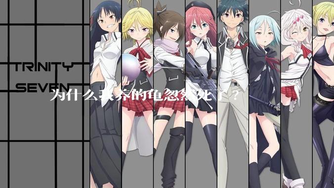 为什么我养的龟忽然死了?