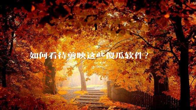 如何看待剪映这些傻瓜软件？