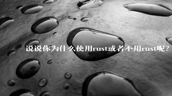 说说你为什么使用rust或者不用rust呢？