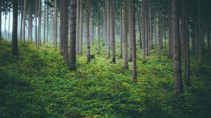 靳东、宋佳分封视帝、视后，《我的阿勒泰》获最佳剧集，如何评价 30 届上海电视节白玉兰奖获奖名单？